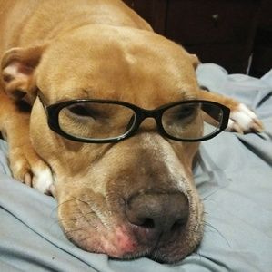 Jade Says " HAPPY FRIDAY"